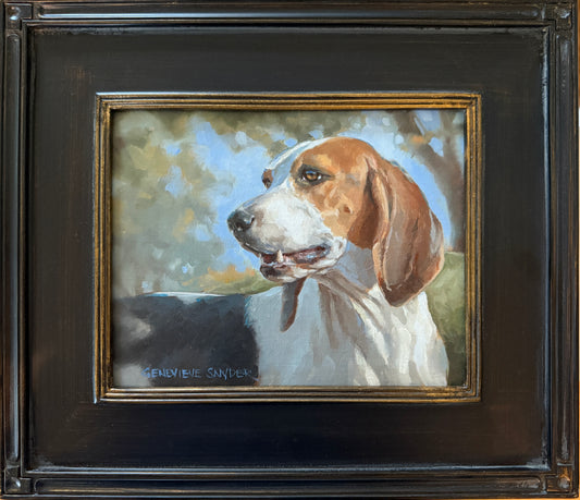 Radnor Hunt Ruthless